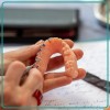 Occlusal Overview : Intégrer l'occlusion dans son quotidien