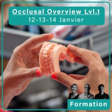 Occlusal Overview Lvl.1 - 12/13/14 janvier 2026